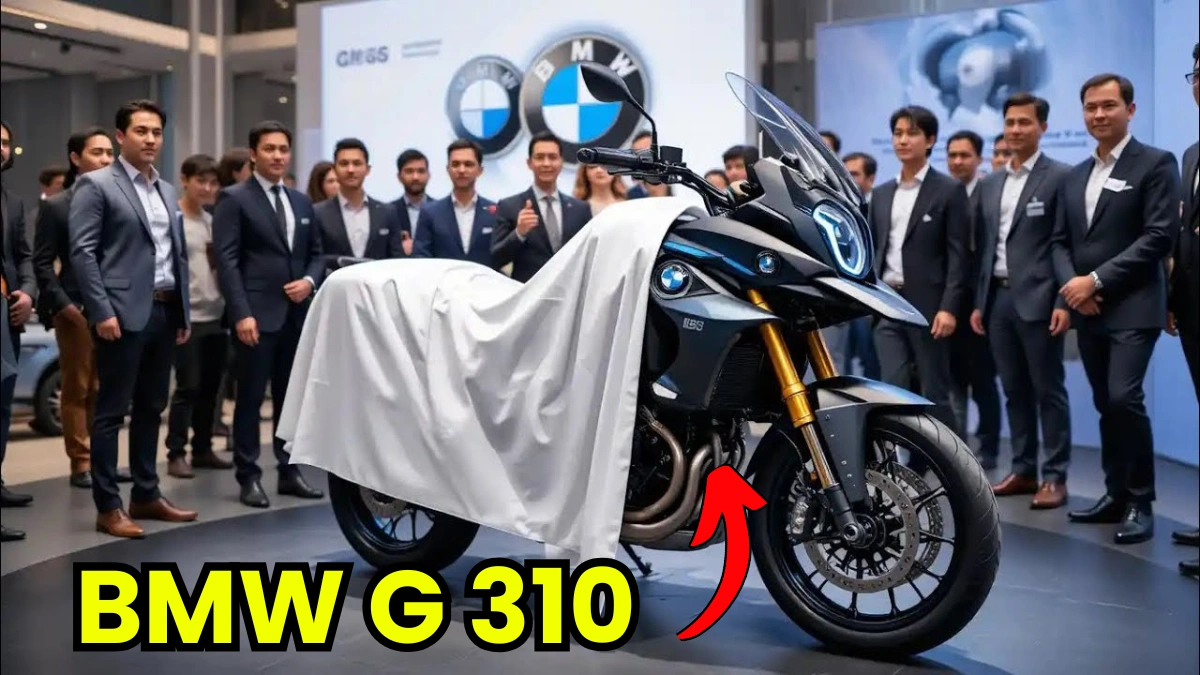 BMW G 310